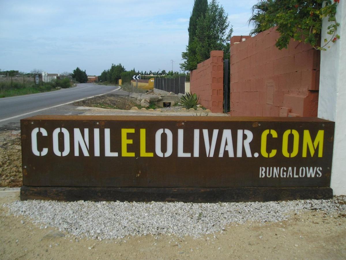 El Olivar De Roche Viejo Conil De La Frontera Dış mekan fotoğraf
