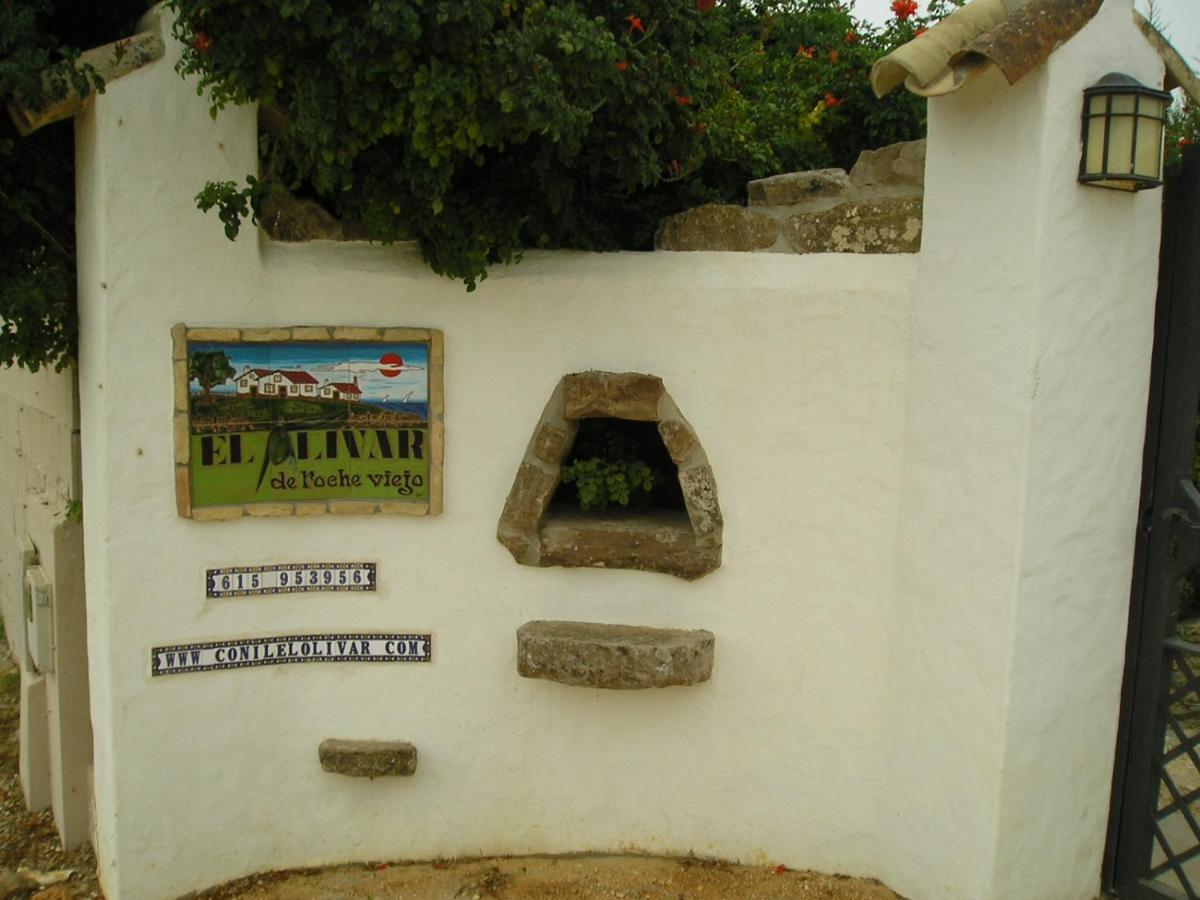 El Olivar De Roche Viejo Conil De La Frontera Dış mekan fotoğraf