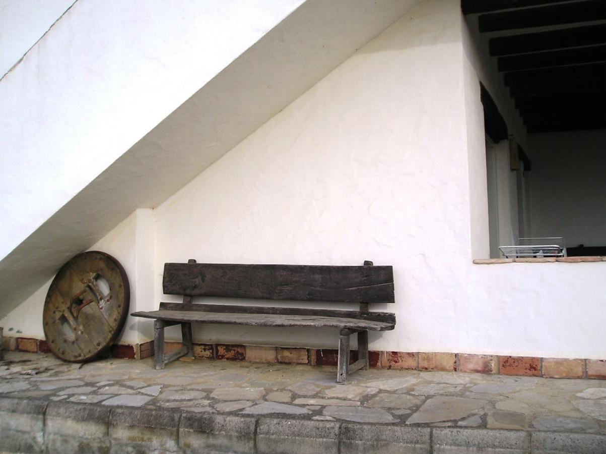 El Olivar De Roche Viejo Conil De La Frontera Dış mekan fotoğraf
