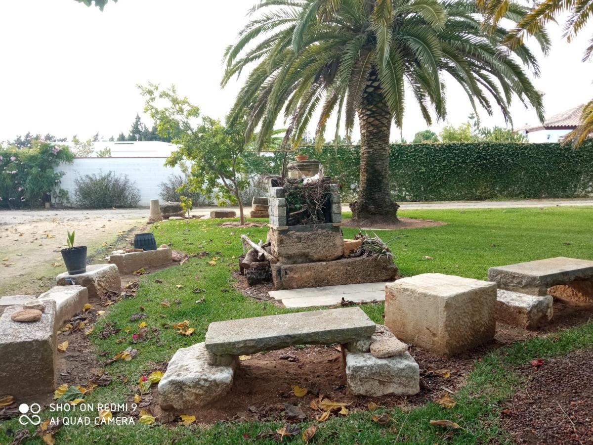 El Olivar De Roche Viejo Conil De La Frontera Dış mekan fotoğraf