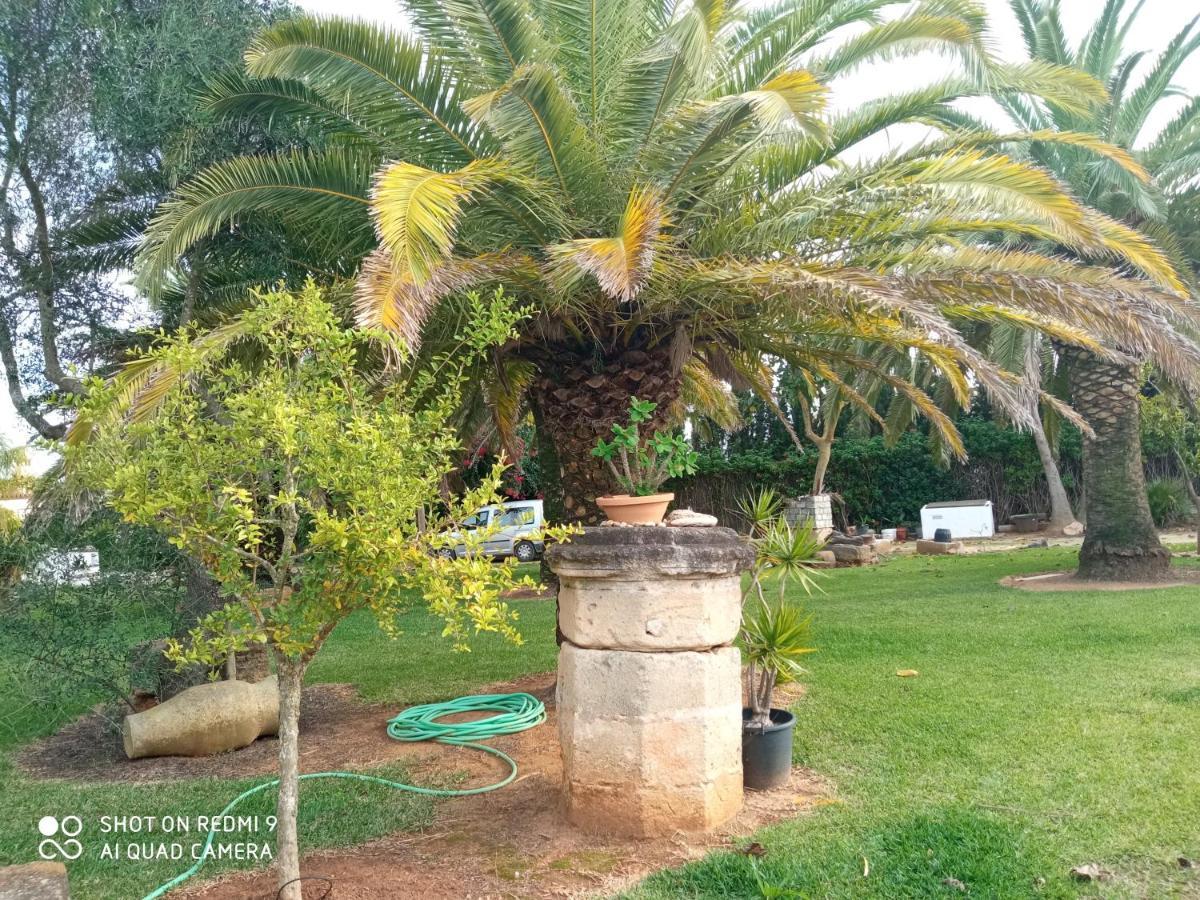 El Olivar De Roche Viejo Conil De La Frontera Dış mekan fotoğraf