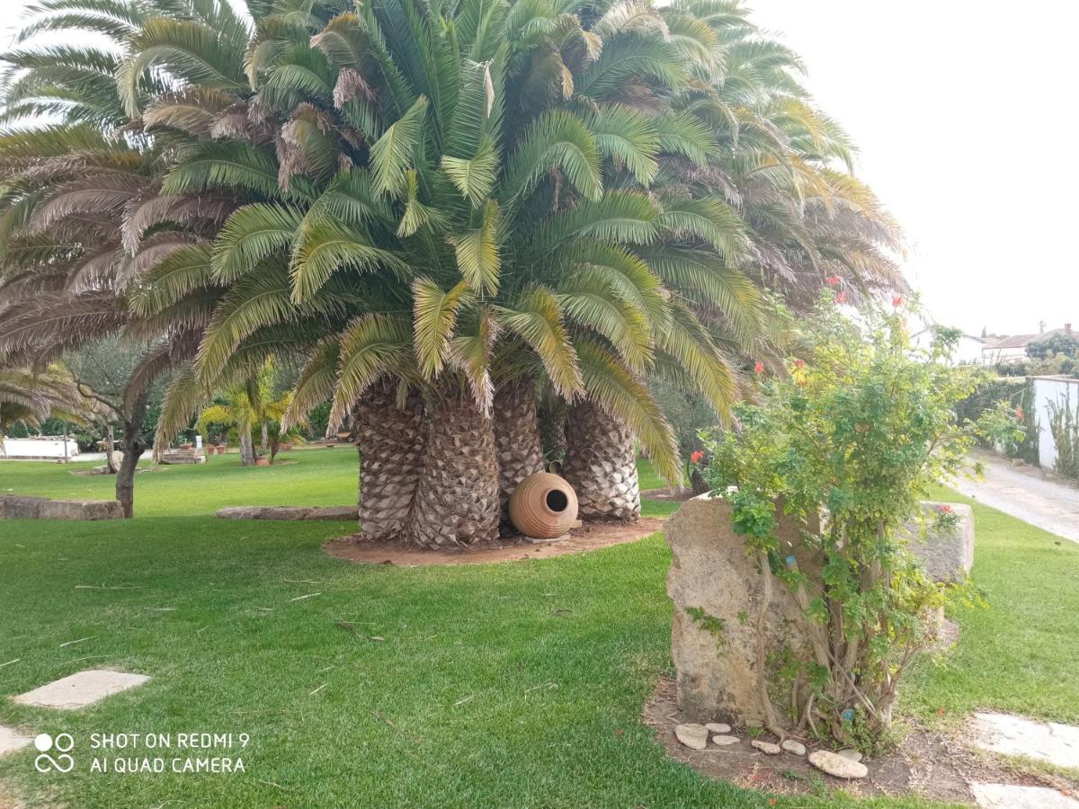 El Olivar De Roche Viejo Conil De La Frontera Dış mekan fotoğraf