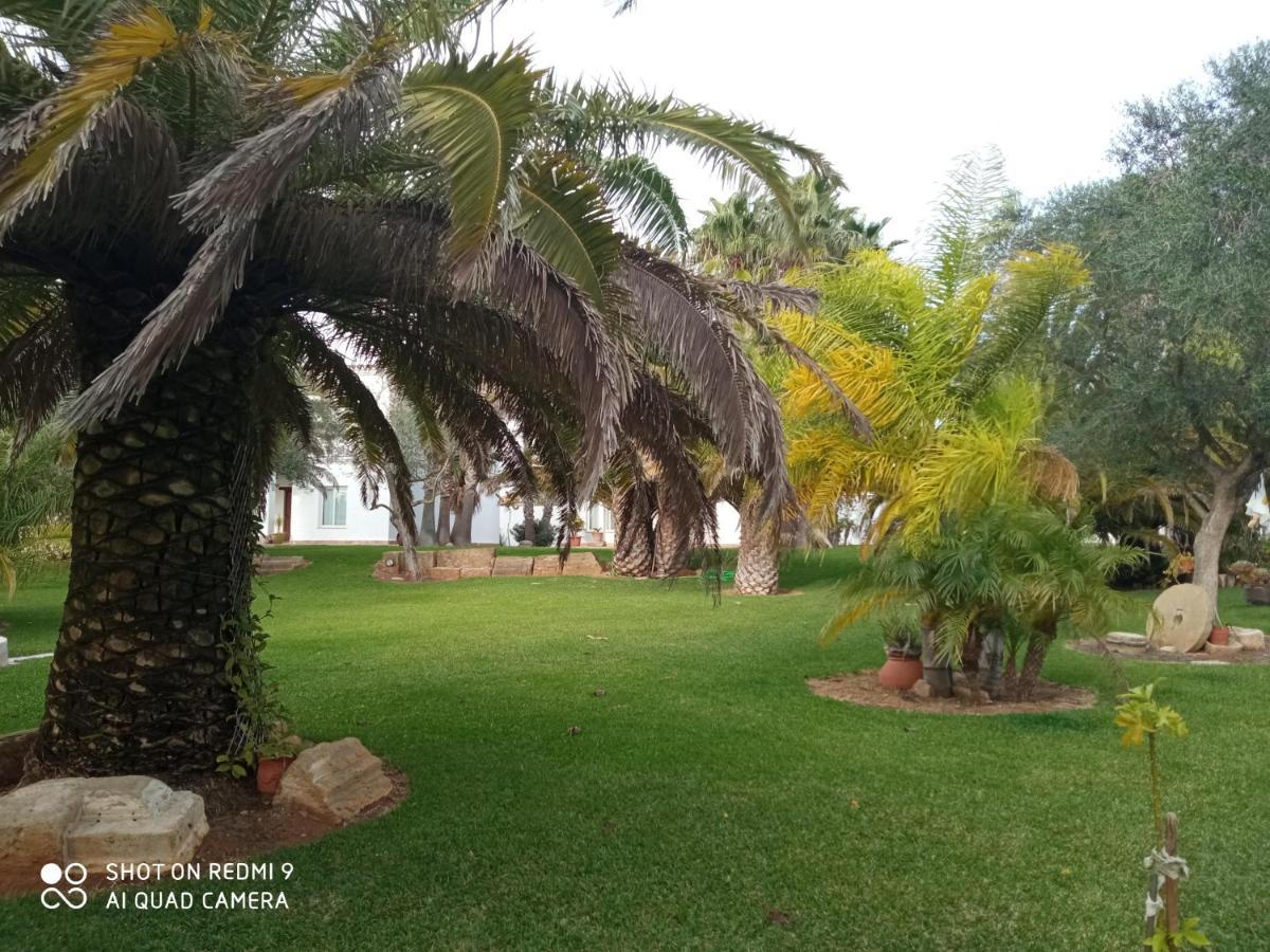 El Olivar De Roche Viejo Conil De La Frontera Dış mekan fotoğraf
