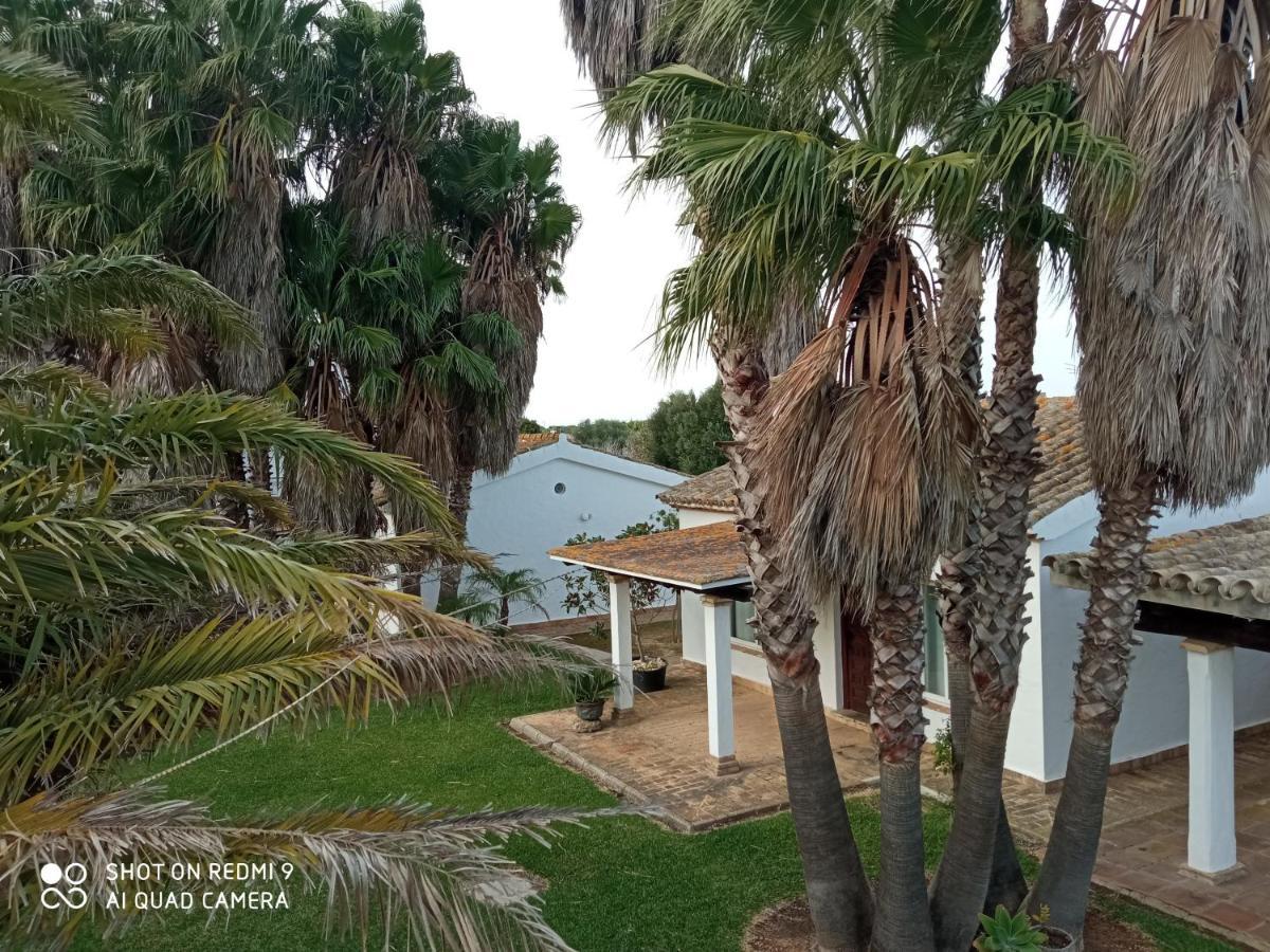 El Olivar De Roche Viejo Conil De La Frontera Dış mekan fotoğraf