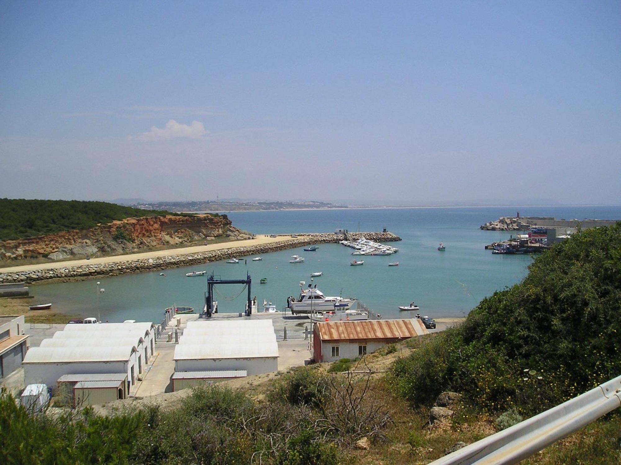 El Olivar De Roche Viejo Conil De La Frontera Oda fotoğraf