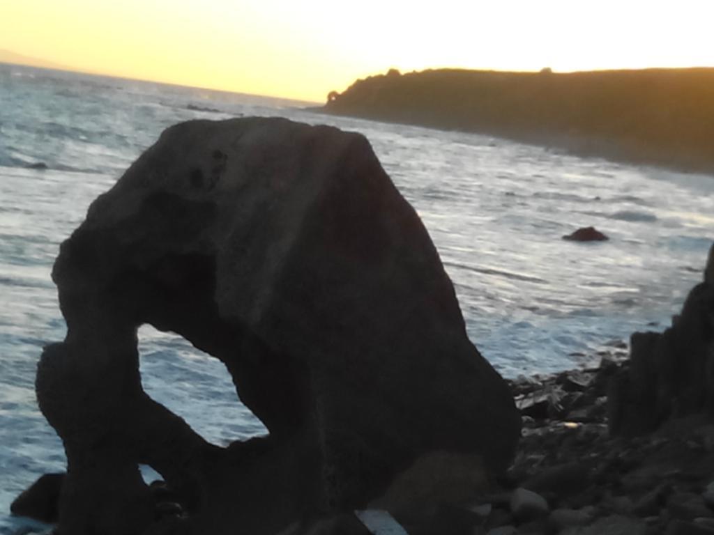 El Olivar De Roche Viejo Conil De La Frontera Dış mekan fotoğraf