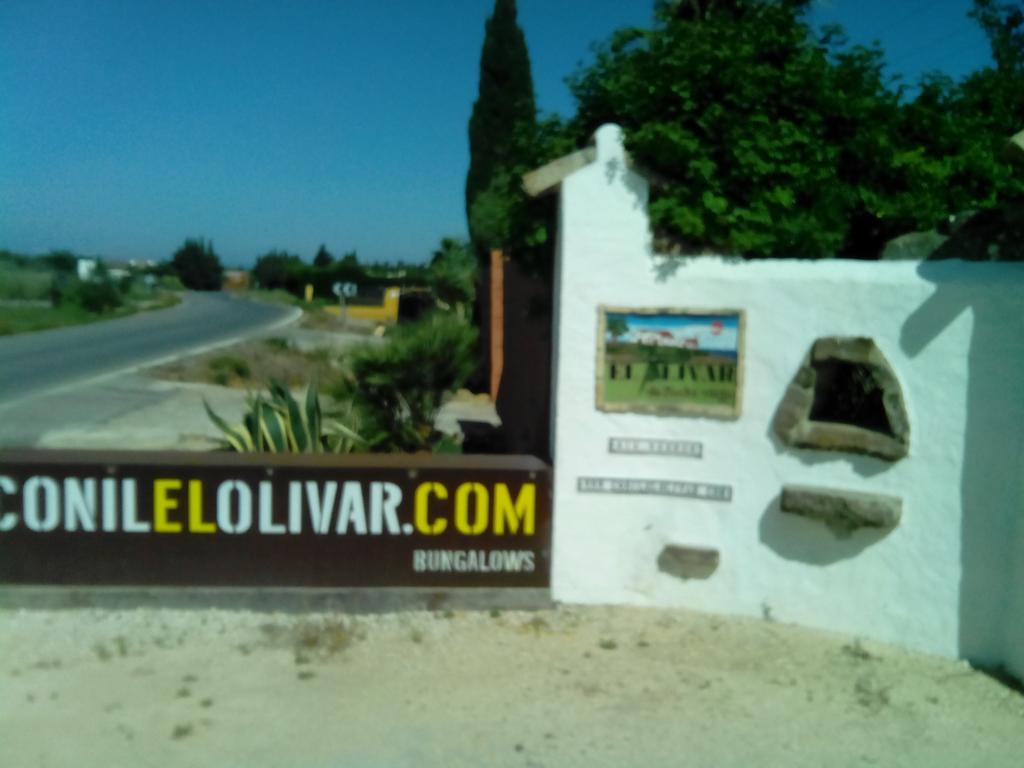 El Olivar De Roche Viejo Conil De La Frontera Dış mekan fotoğraf