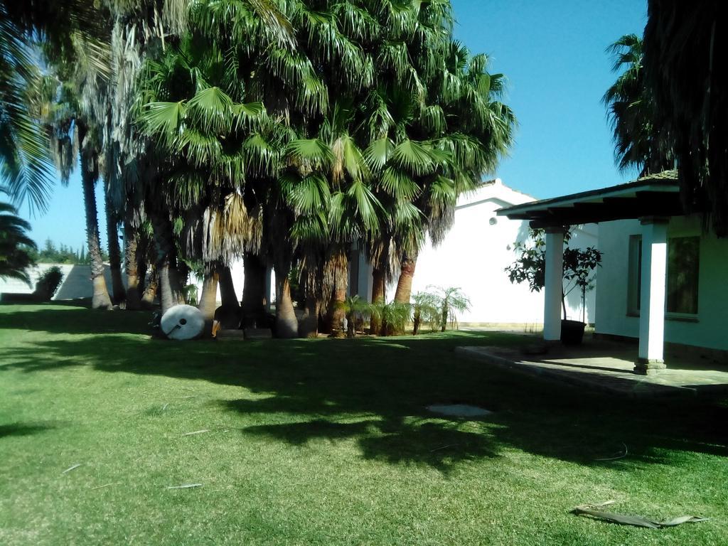 El Olivar De Roche Viejo Conil De La Frontera Dış mekan fotoğraf
