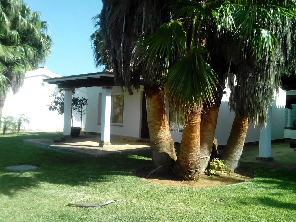 El Olivar De Roche Viejo Conil De La Frontera Dış mekan fotoğraf