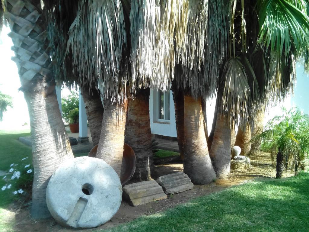 El Olivar De Roche Viejo Conil De La Frontera Dış mekan fotoğraf