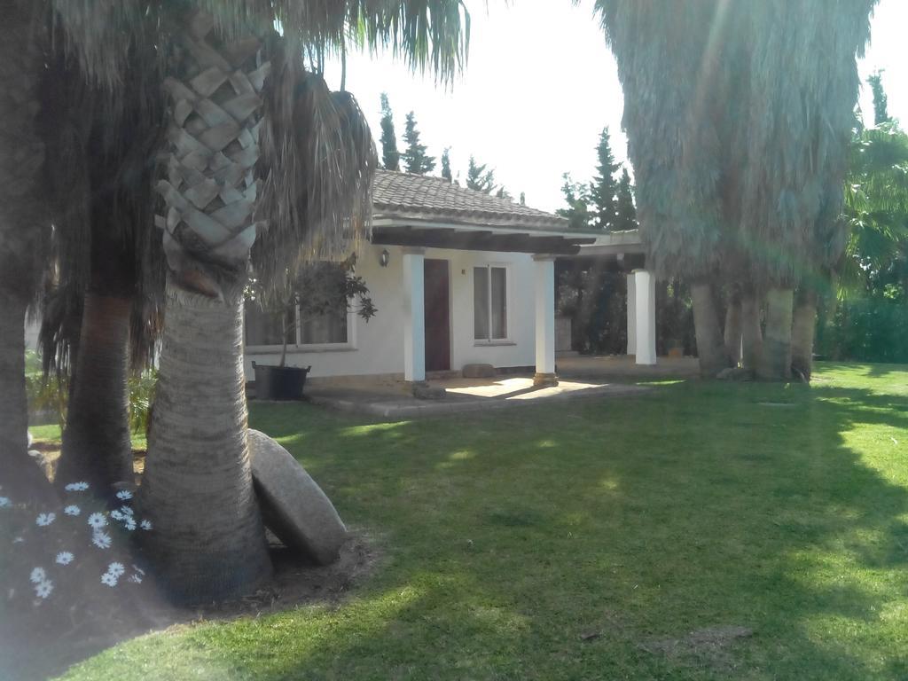 El Olivar De Roche Viejo Conil De La Frontera Dış mekan fotoğraf