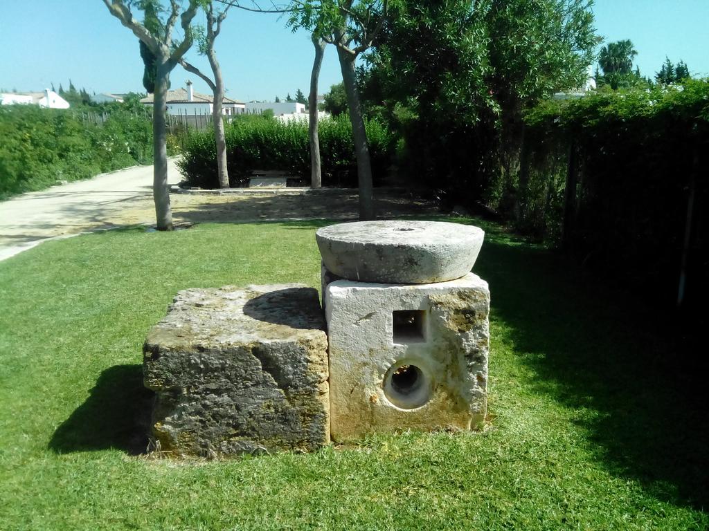 El Olivar De Roche Viejo Conil De La Frontera Dış mekan fotoğraf