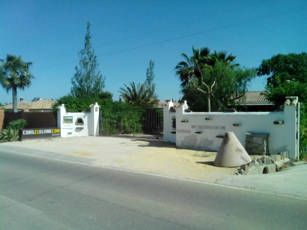 El Olivar De Roche Viejo Conil De La Frontera Dış mekan fotoğraf