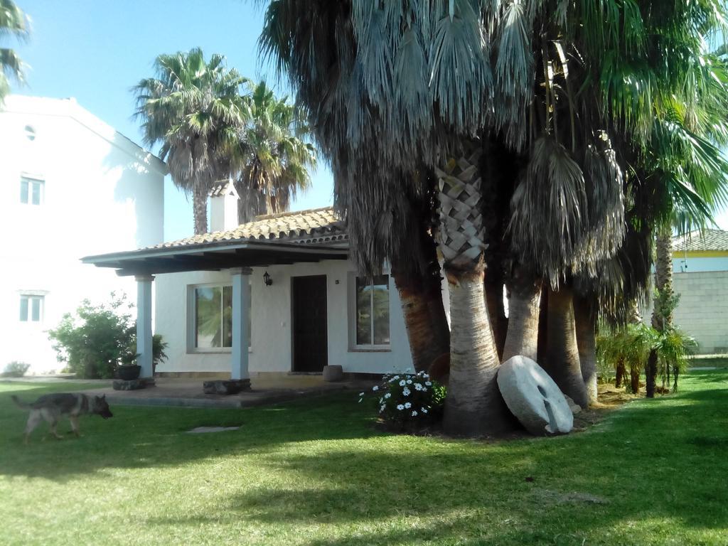 El Olivar De Roche Viejo Conil De La Frontera Dış mekan fotoğraf