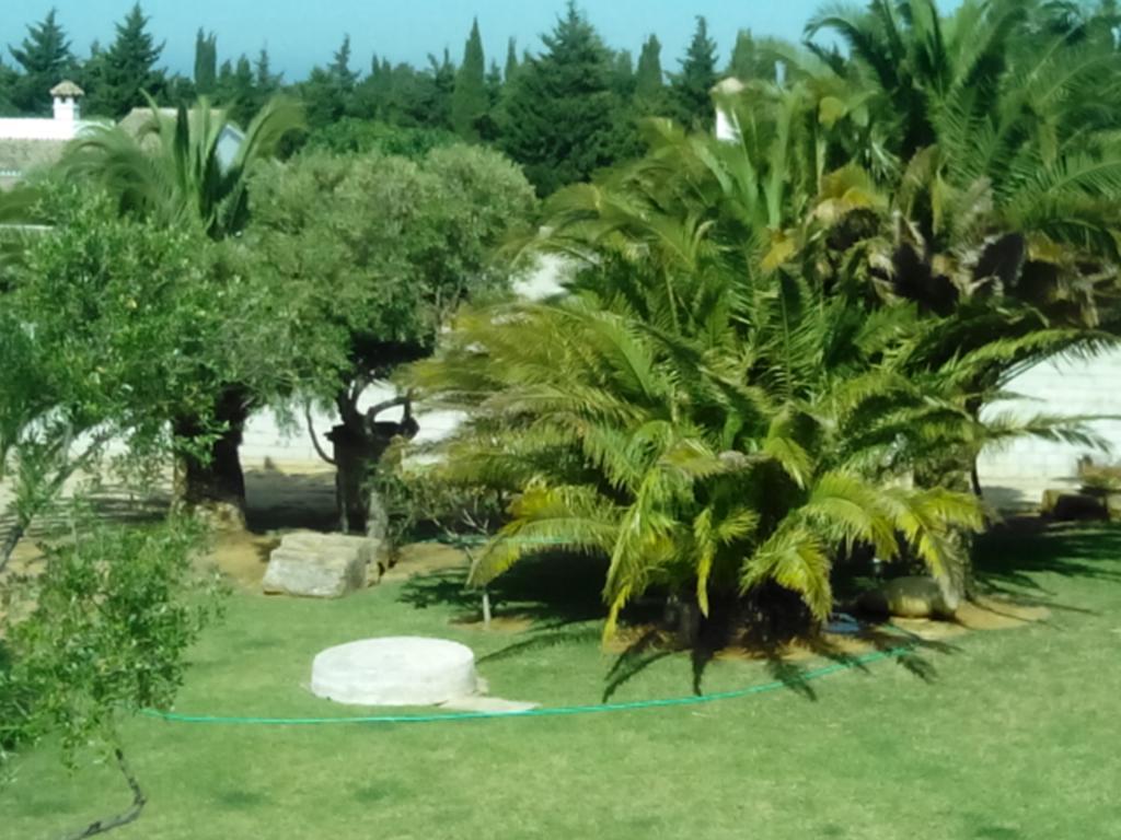 El Olivar De Roche Viejo Conil De La Frontera Dış mekan fotoğraf
