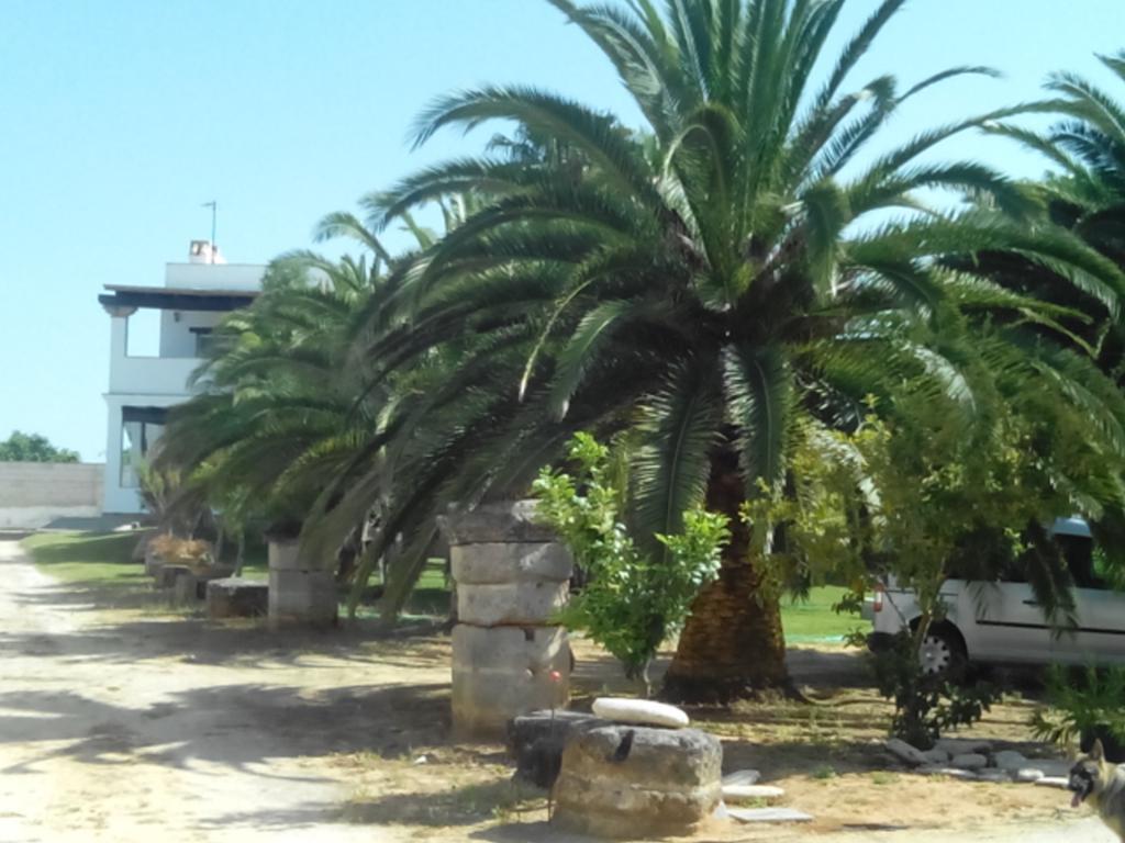 El Olivar De Roche Viejo Conil De La Frontera Dış mekan fotoğraf