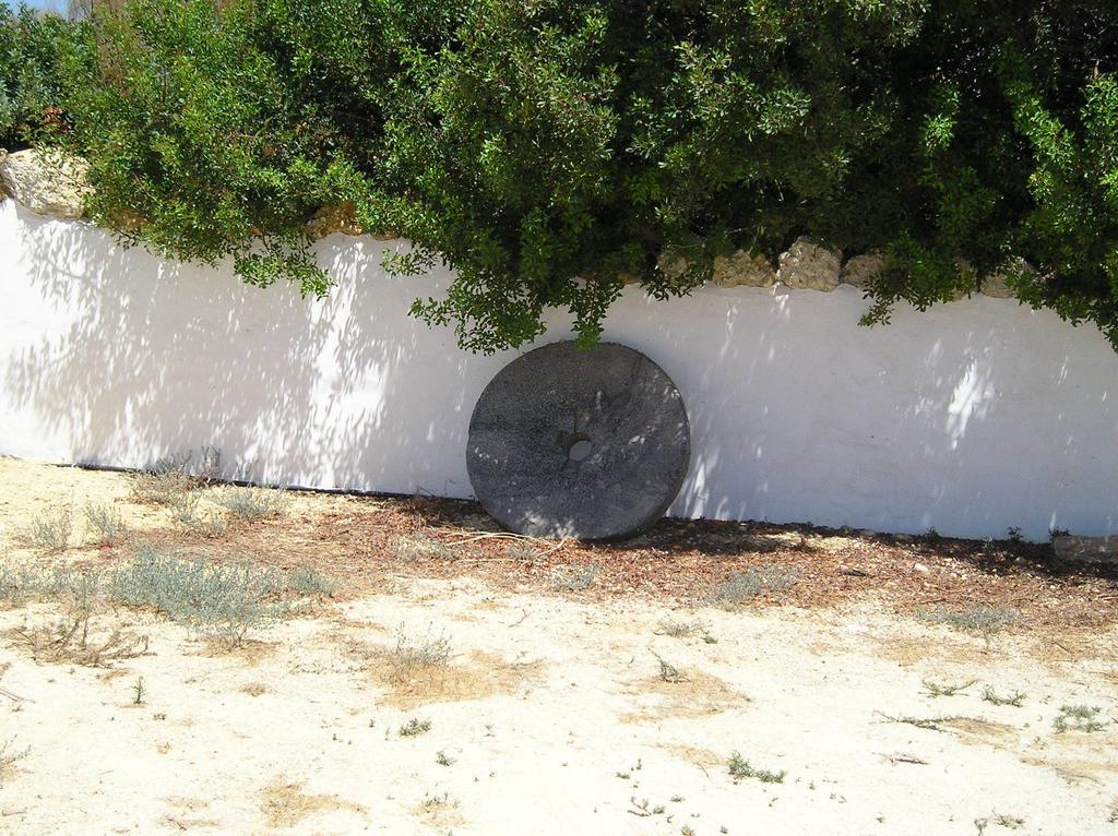 El Olivar De Roche Viejo Conil De La Frontera Dış mekan fotoğraf