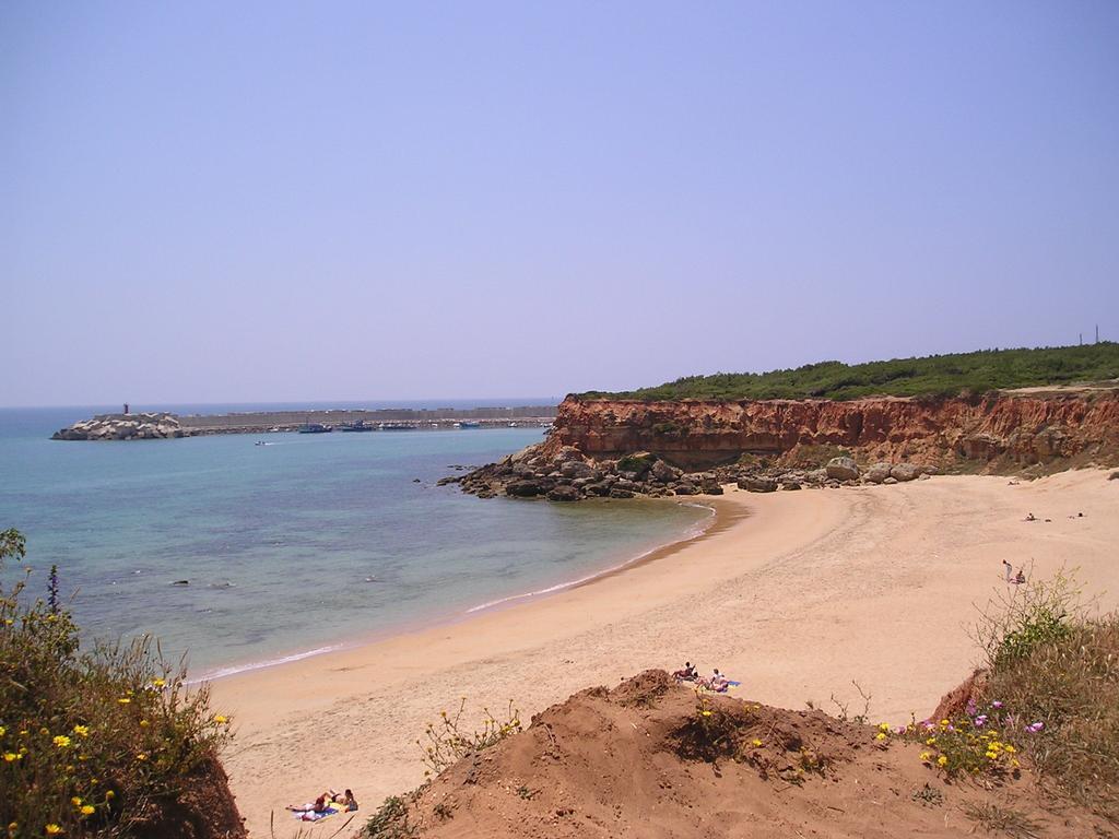 El Olivar De Roche Viejo Conil De La Frontera Dış mekan fotoğraf