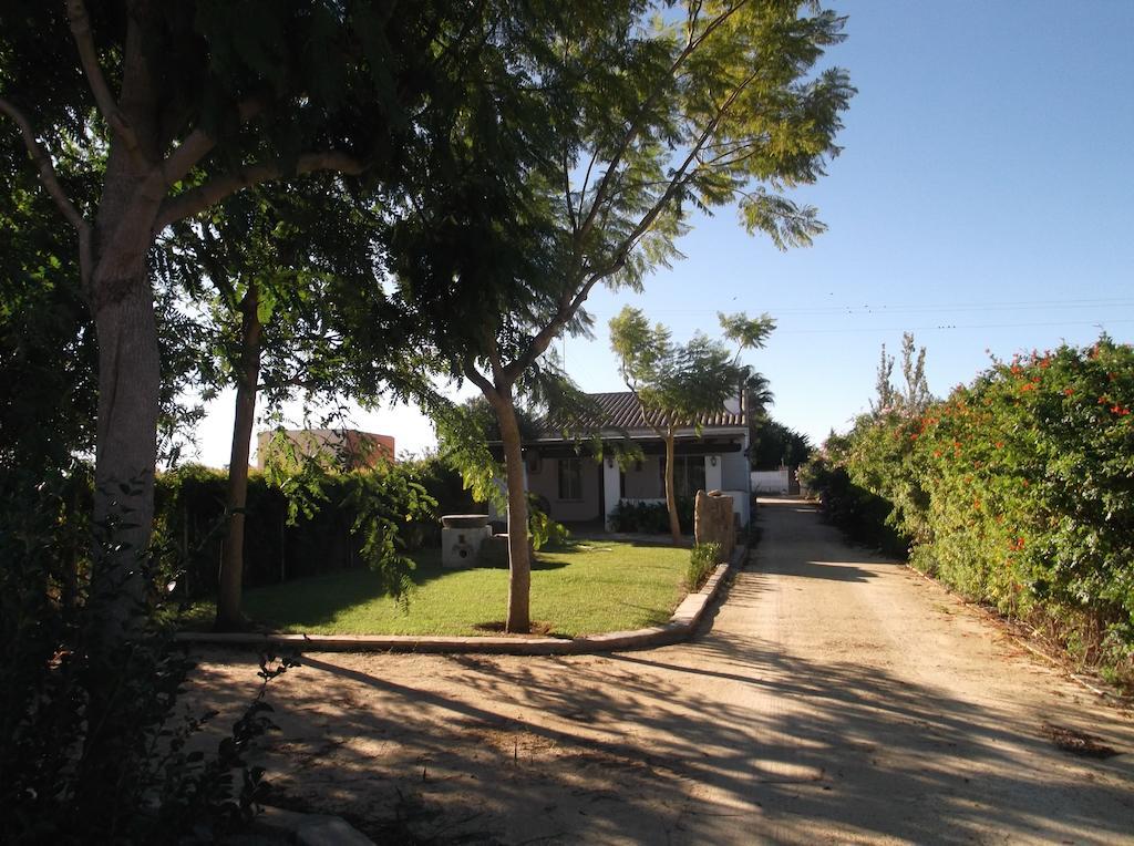 El Olivar De Roche Viejo Conil De La Frontera Dış mekan fotoğraf