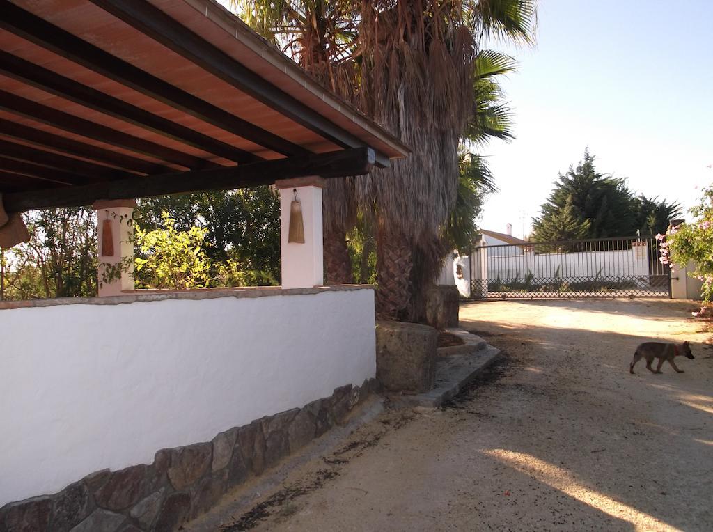 El Olivar De Roche Viejo Conil De La Frontera Dış mekan fotoğraf