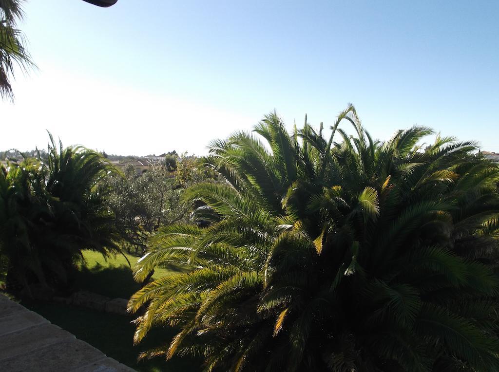 El Olivar De Roche Viejo Conil De La Frontera Dış mekan fotoğraf