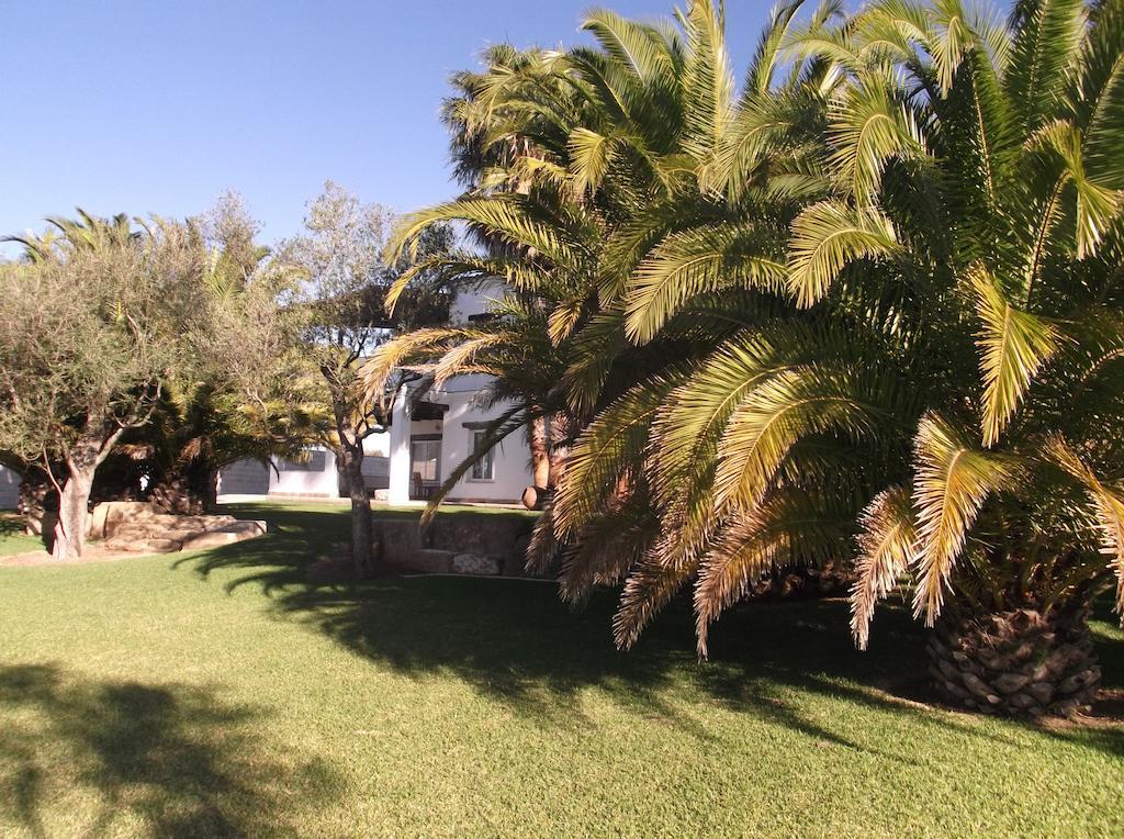 El Olivar De Roche Viejo Conil De La Frontera Dış mekan fotoğraf