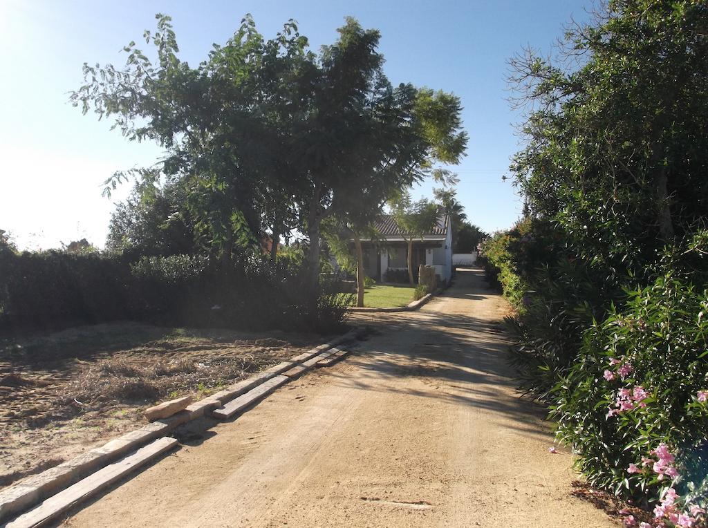 El Olivar De Roche Viejo Conil De La Frontera Dış mekan fotoğraf